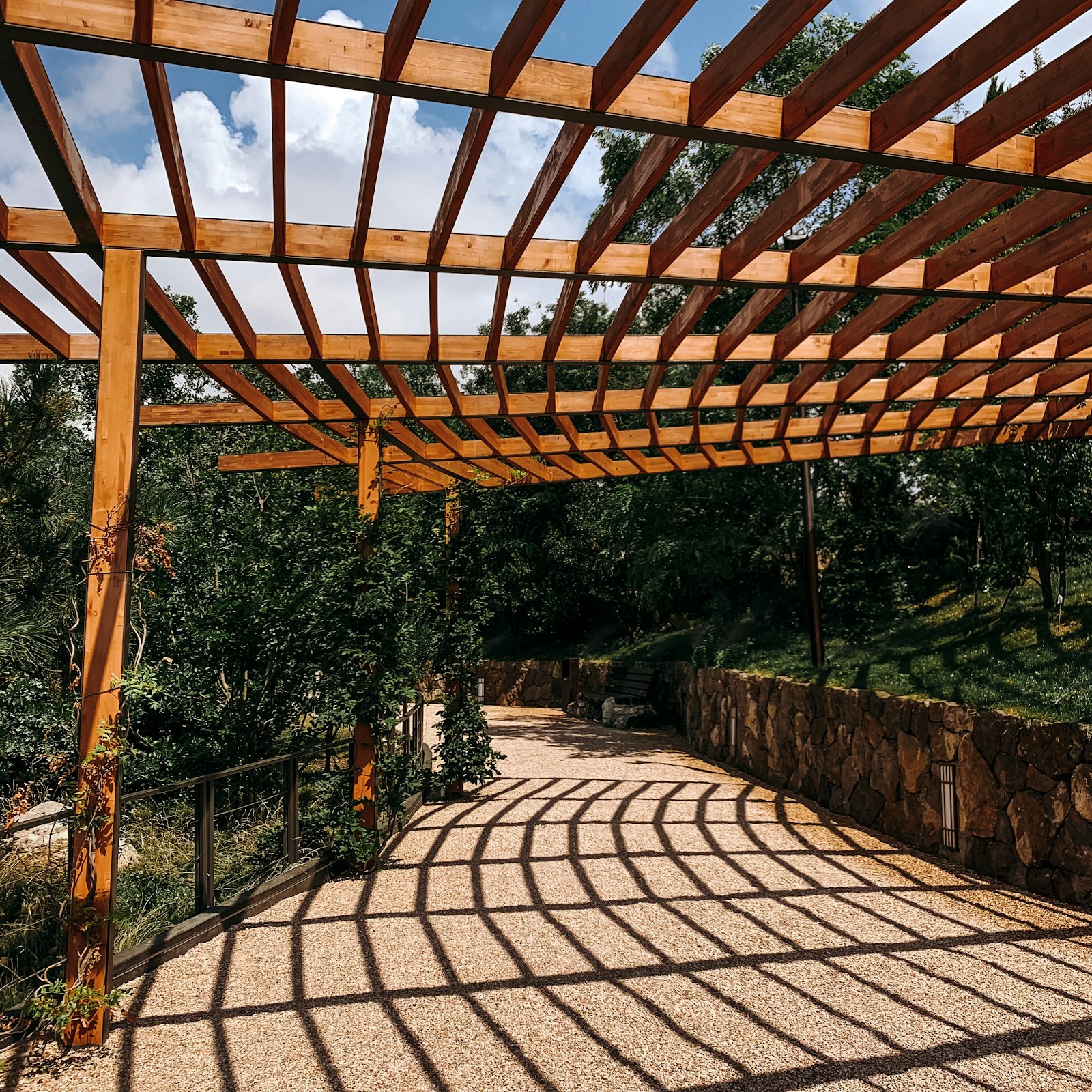 Timber pergola in a backyard